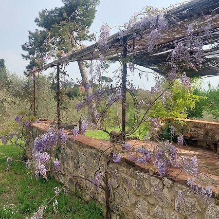 Casa Ezio Marchi - Due Appartamenti E Una Family Suite Bettolle Eksteriør billede