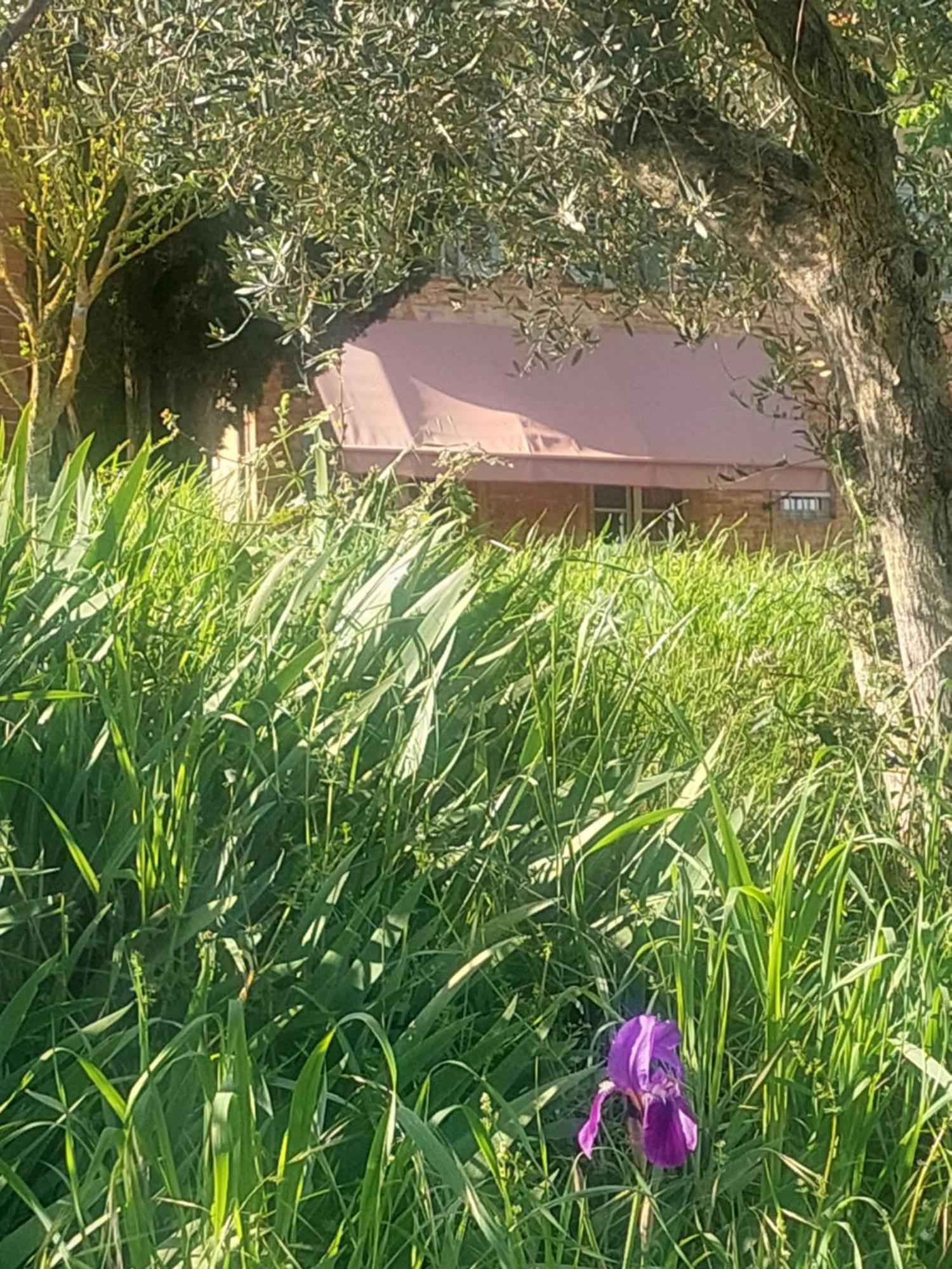 Casa Ezio Marchi - Due Appartamenti E Una Family Suite Bettolle Eksteriør billede