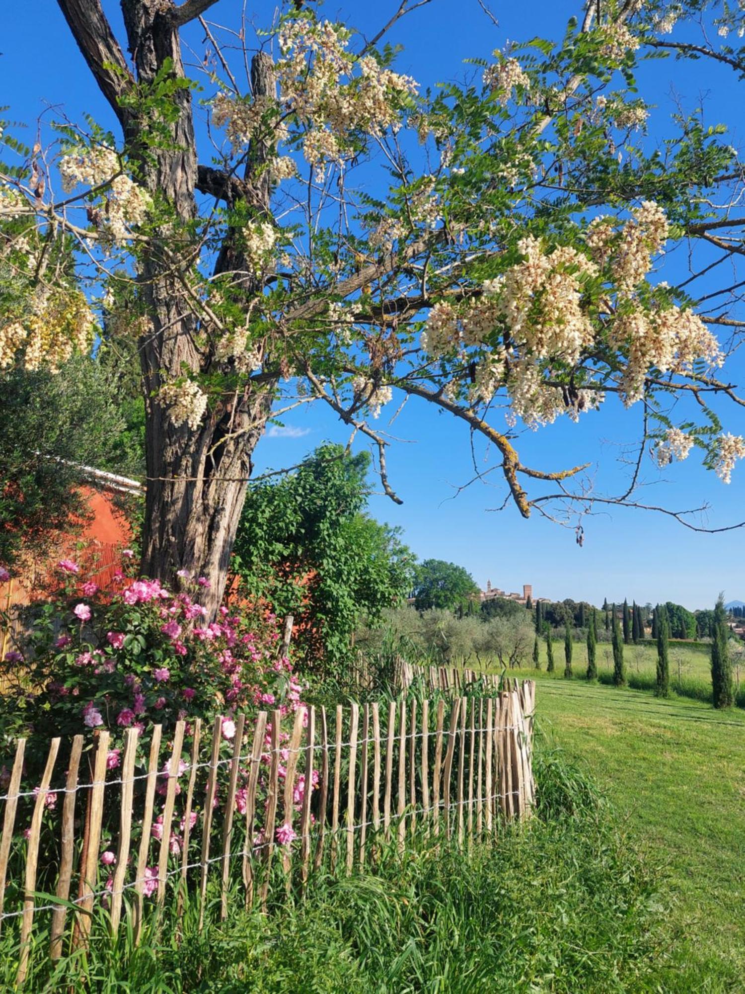 Casa Ezio Marchi - Due Appartamenti E Una Family Suite Bettolle Eksteriør billede